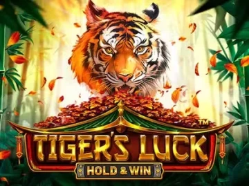 Lions Bet screenshot